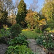 Kate Tattersall's garden in the early morning.