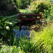 The pond in Susan Bennett's garden